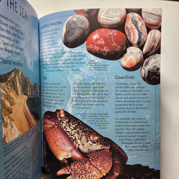 The Usborne Internet-Linked Book Encyclopedia of Planet Earth Science Homeschool - Picture 5 of 14